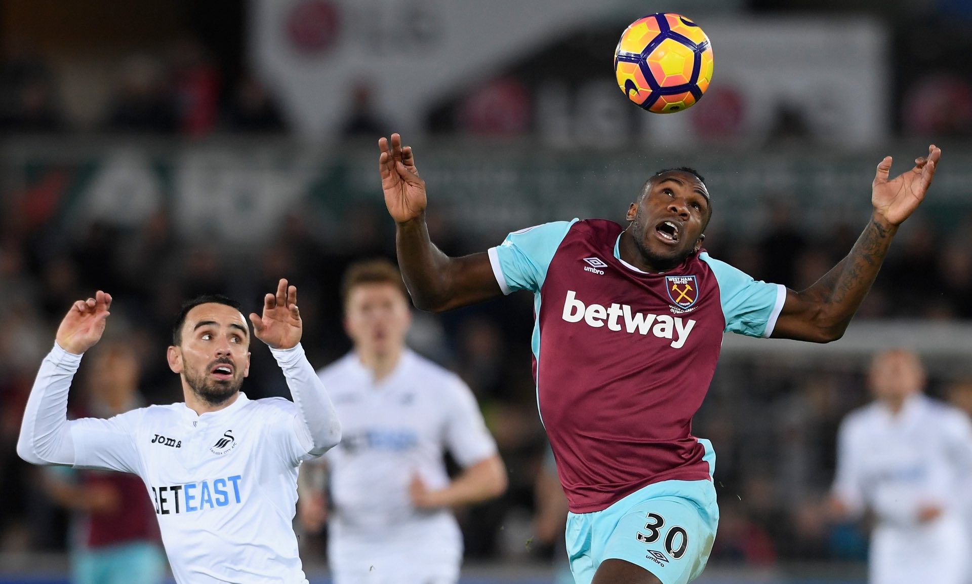 利时国家队 利时国家队